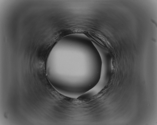 X0000091710521200708311119