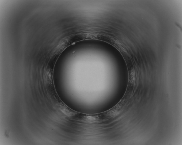 X0000091710522200708311119