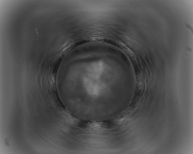 X0000091710523200708311118