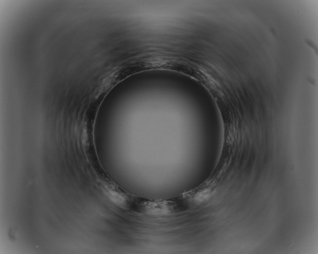 X0000091710524200708311118