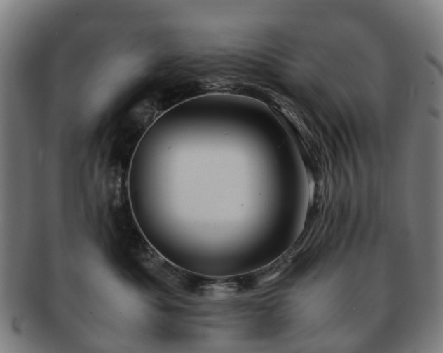 X0000091710525200708311118