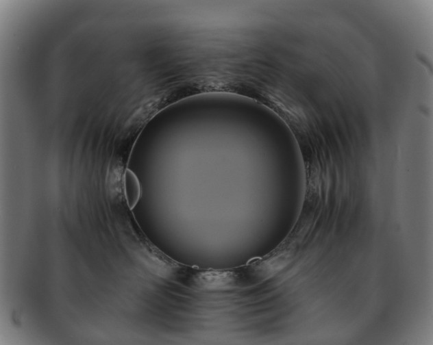 X0000091710526200708311118