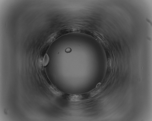 X0000091710527200708311118