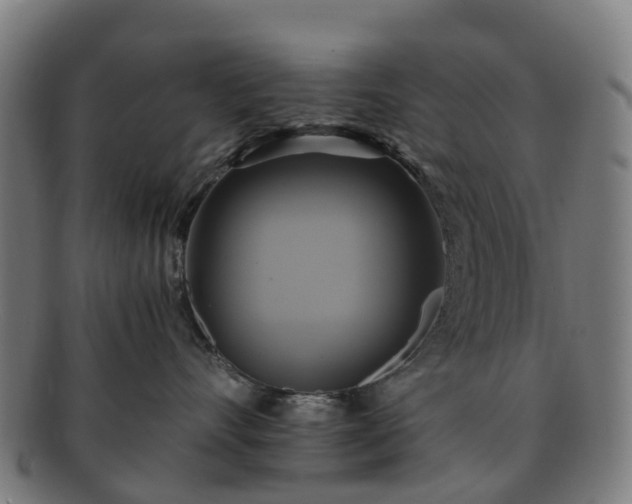 X0000091710528200708311118