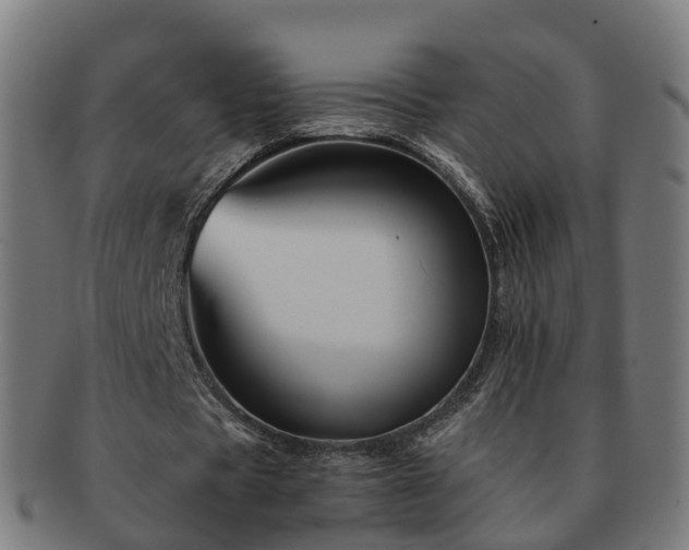 X0000091710529200708311118