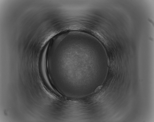 X0000091710530200708311118