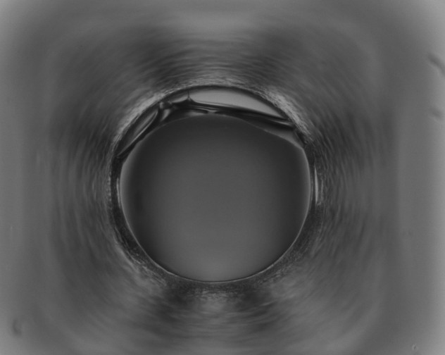 X0000091710531200708311118