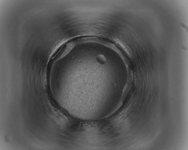 X0000091710532200708311118