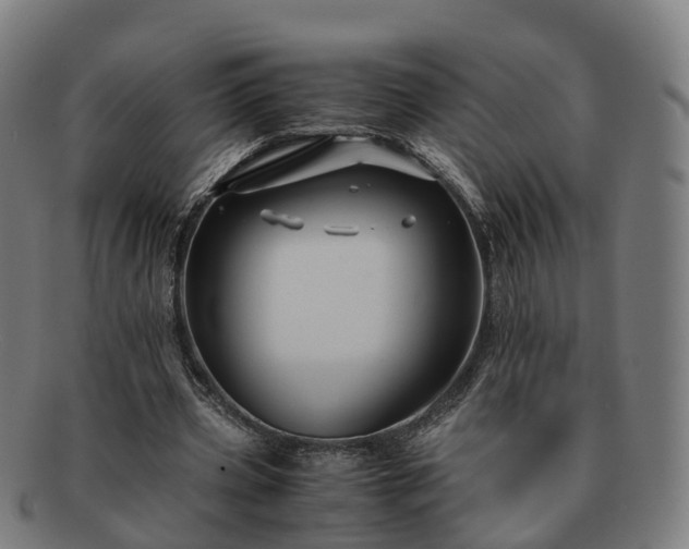 X0000091710533200708311118