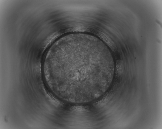 X0000091710534200708311118