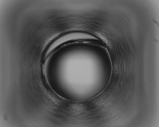 X0000091710535200708311118