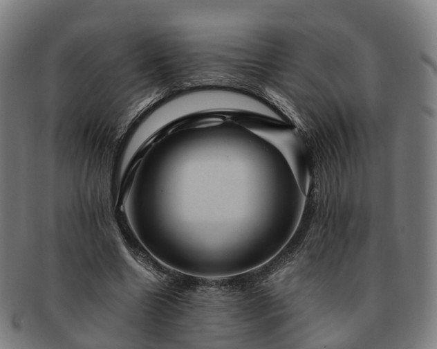 X0000091710538200708311118