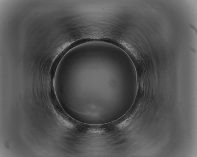 X0000091710540200708311118