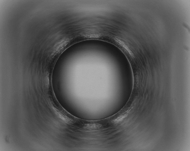 X0000091710541200708311118