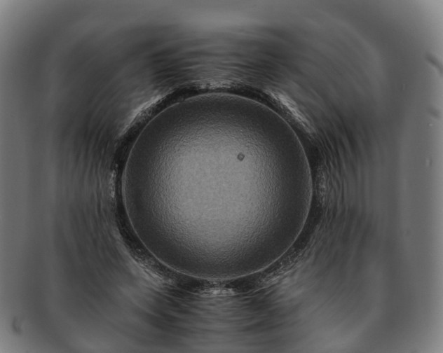 X0000091710543200708311118