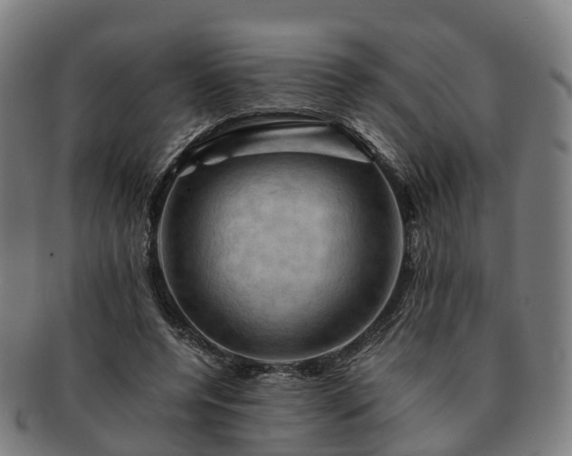 X0000091710544200708311118