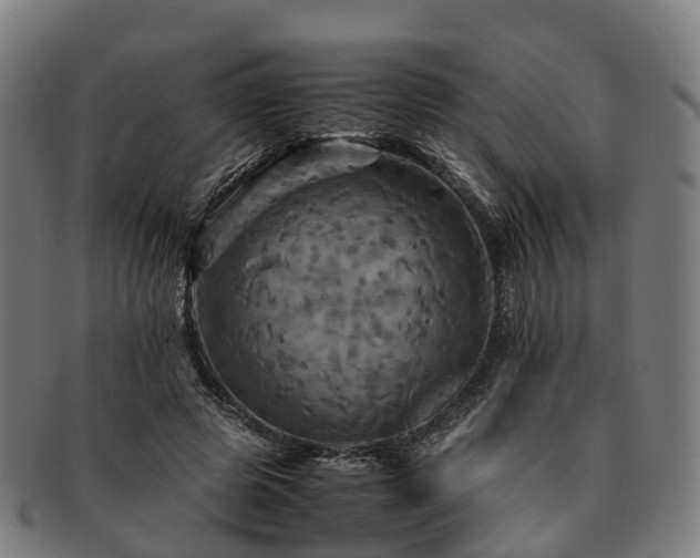 X0000091710545200708311118