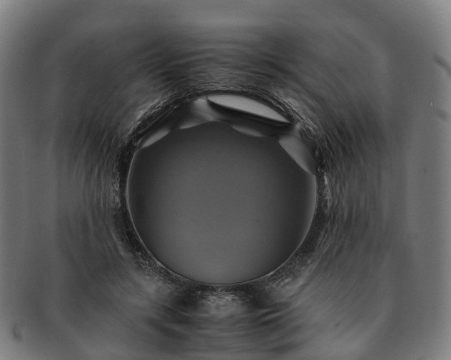 X0000091710547200708311118