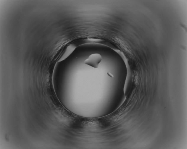 X0000091710548200708311118