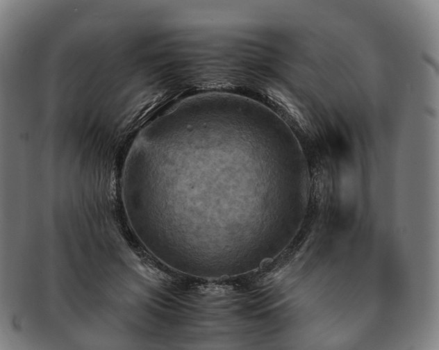 X0000091710549200708311118