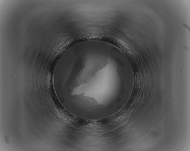 X0000091710550200708311118