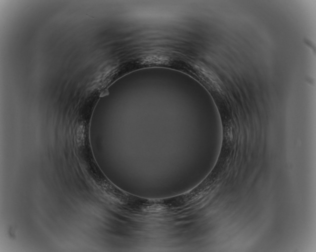 X0000091710551200708311118