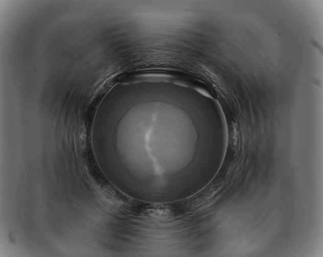 X0000091710552200708311118