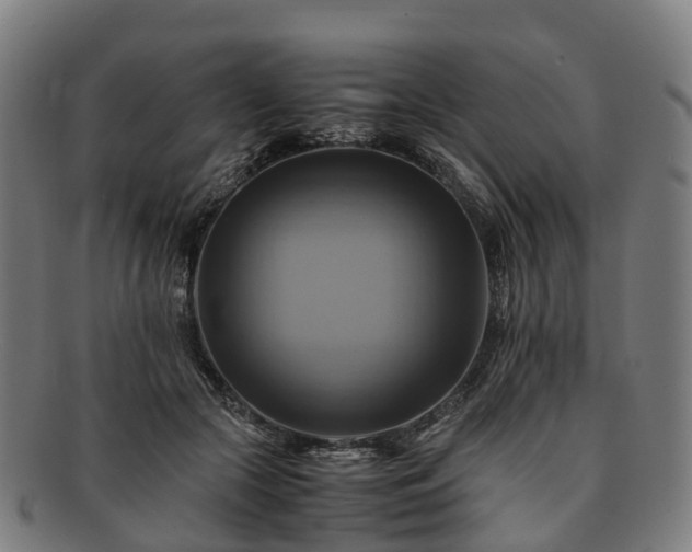 X0000091710553200708311118