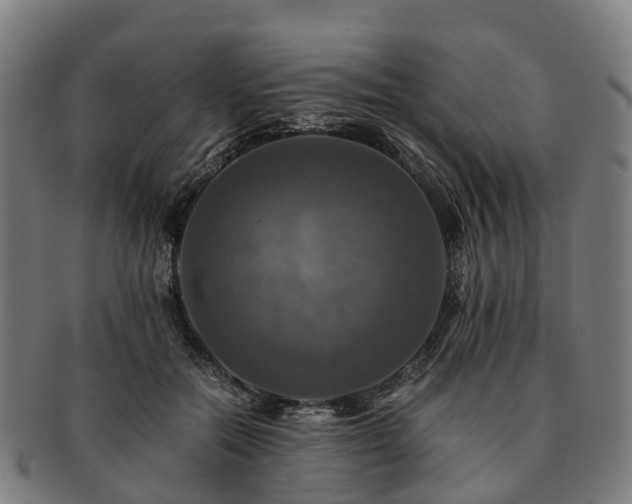 X0000091710554200708311118