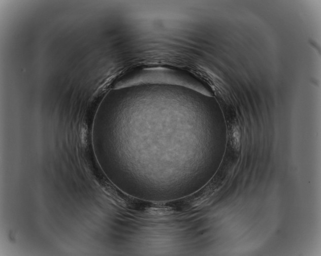 X0000091710556200708311118