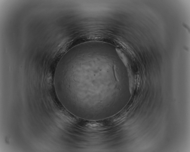 X0000091710557200708311118