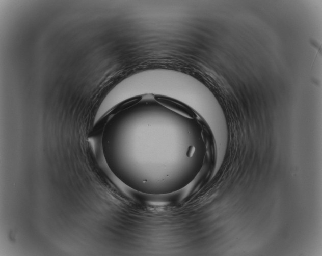 X0000091710558200708311118