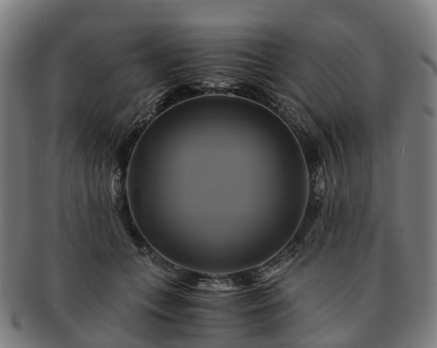 X0000091710559200708311118