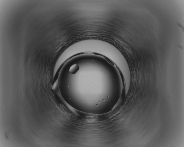 X0000091710560200708311118