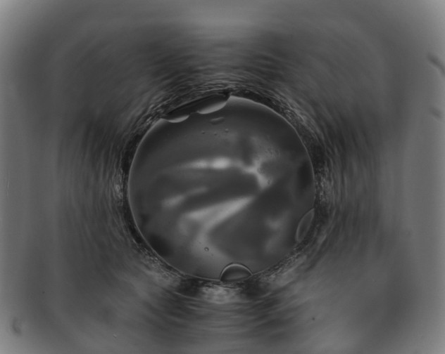 X0000091710561200708311118