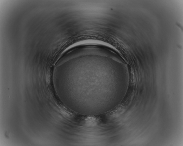 X0000091710562200708311118