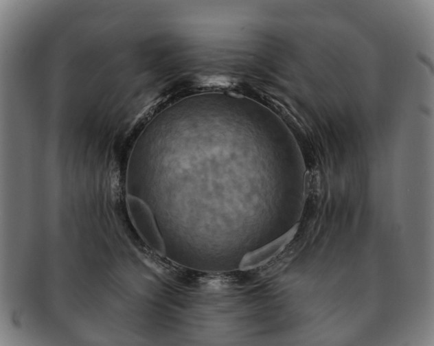 X0000091710564200708311118