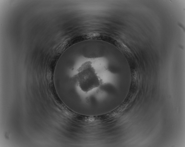 X0000091710565200708311118