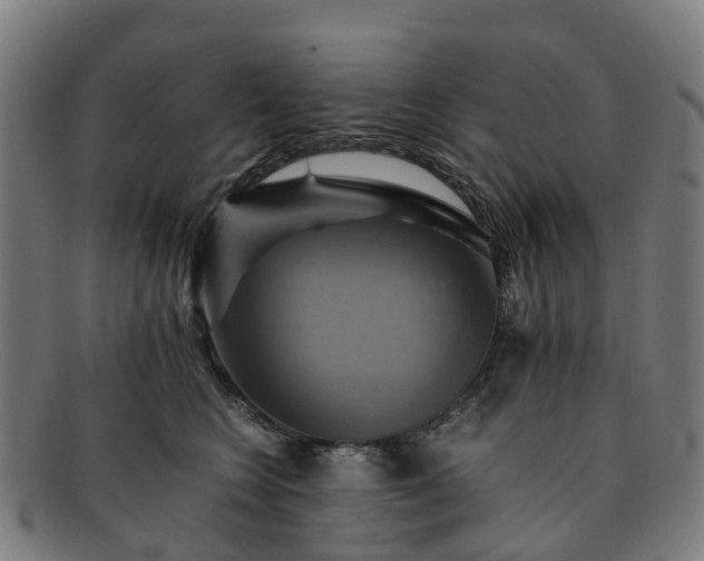 X0000091710566200708311118