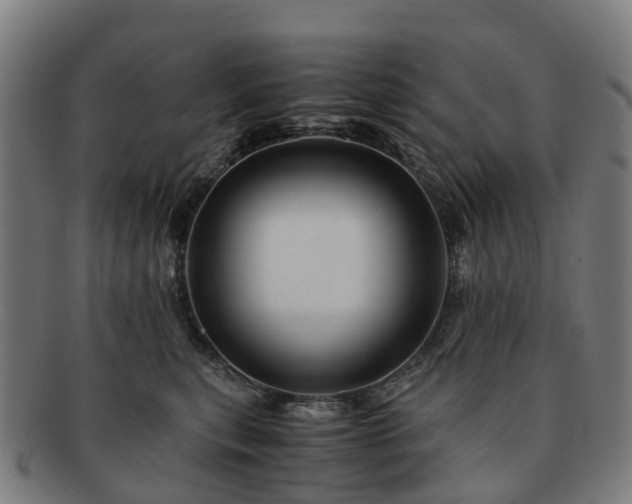 X0000091710567200708311118