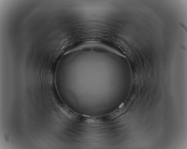 X0000091710568200708311118