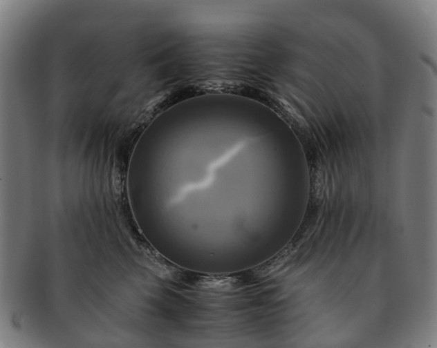 X0000091710569200708311118