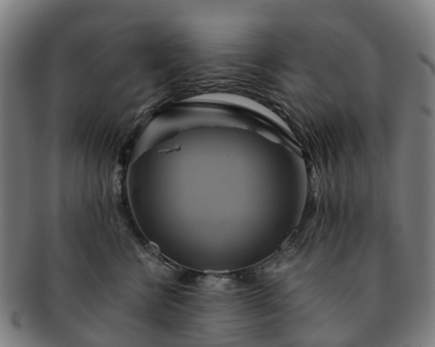 X0000091710570200708311118