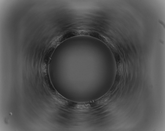 X0000091710571200708311118