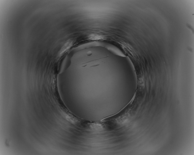 X0000091710572200708311118