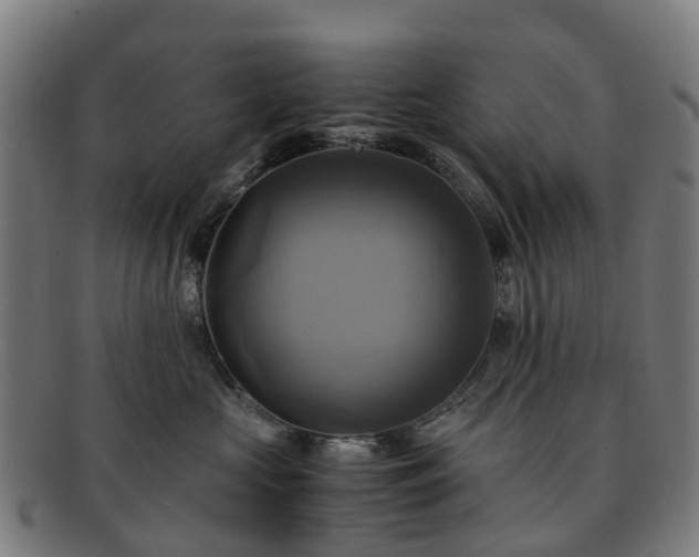 X0000091710573200708311118