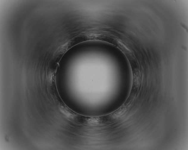 X0000091710574200708311118