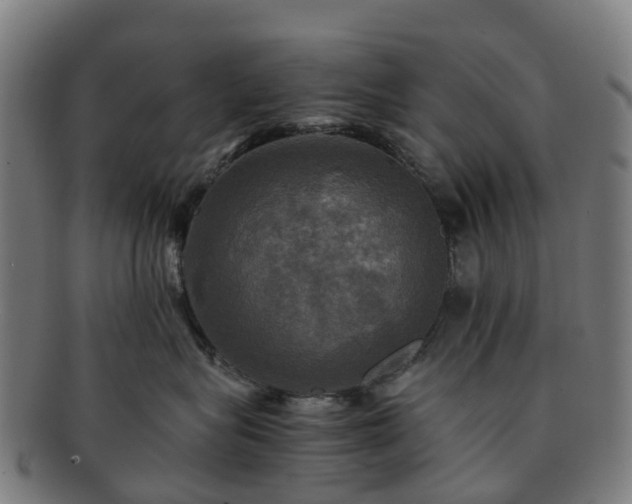 X0000091710575200708311118