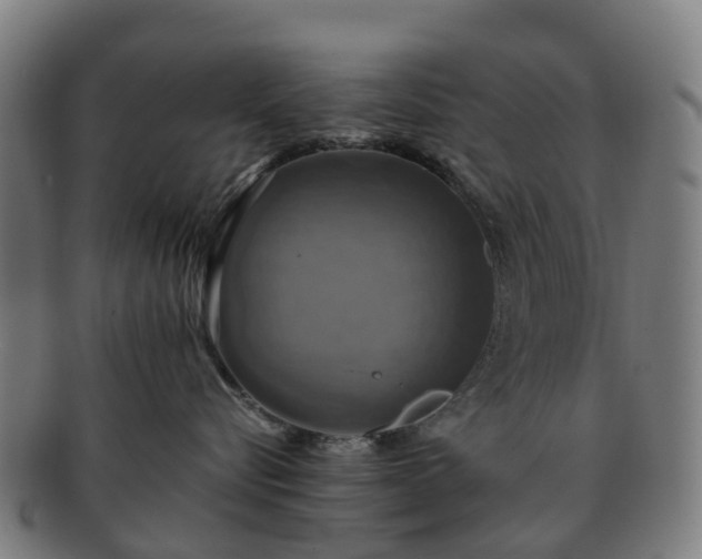 X0000091710576200708311118