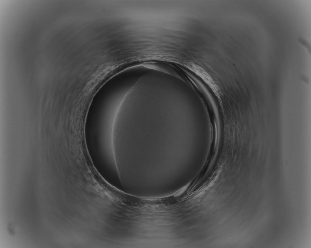 X0000091710577200708311118